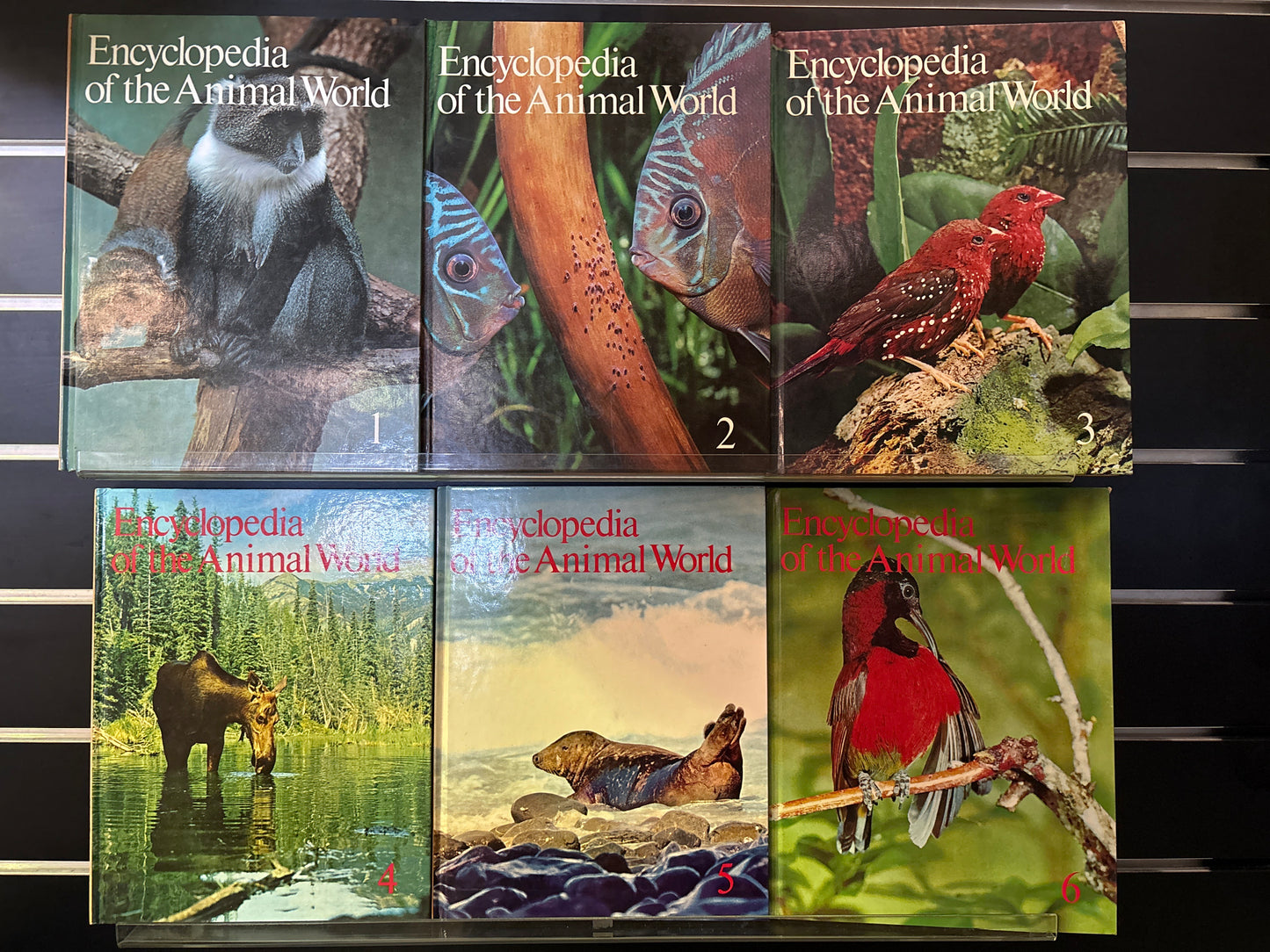 NF Encyclopedia of The Animal World Collection # 1-17 (Min. fair condition)
