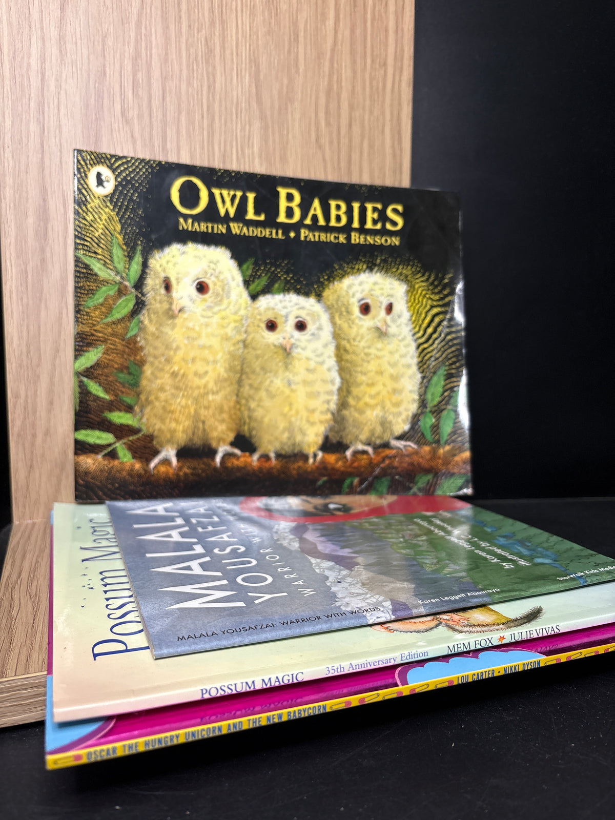 PICTURE BOOKS Assorted Standalone Titles Bundle of 4 (Min. very good condition)