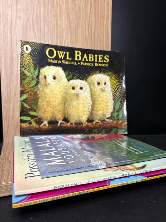 PICTURE BOOKS Assorted Standalone Titles Bundle of 4 (Min. very good condition)