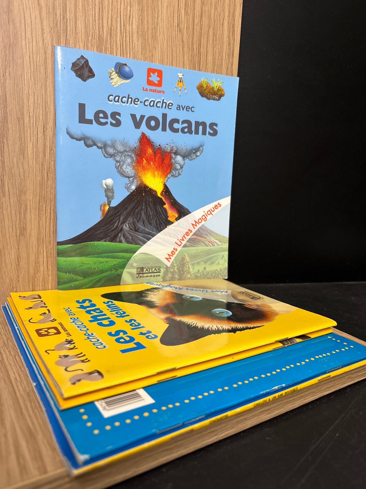 FRENCH TEXT: Children's Reading Bundle Assorted Titles by Various Authors Bundle of 5 (Min. fair condition)