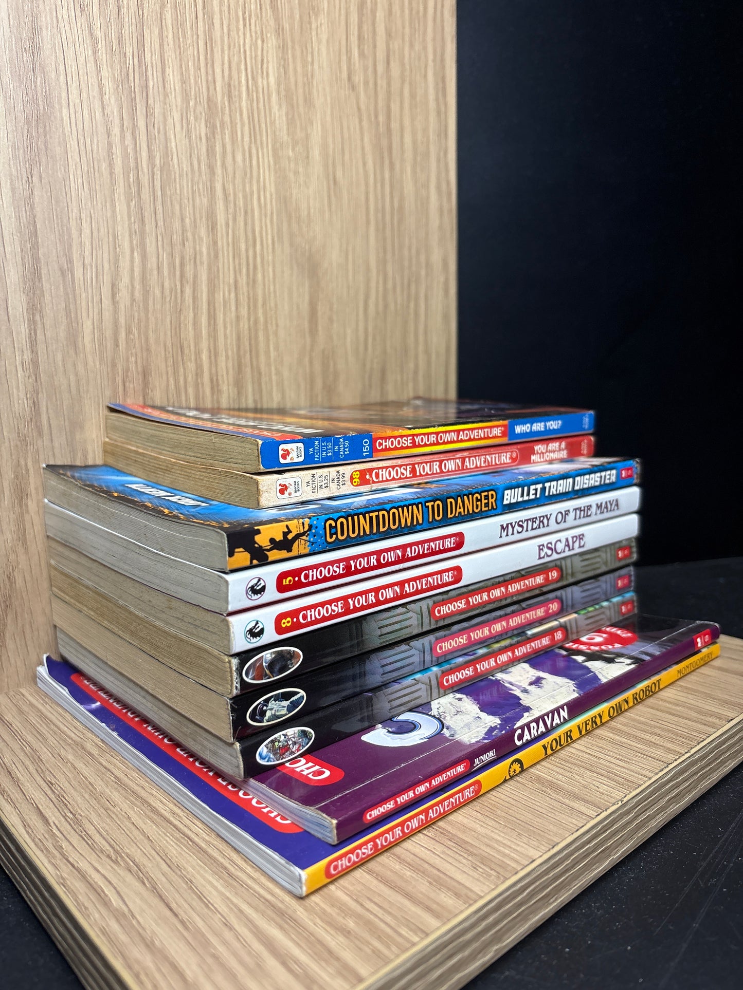 CHOOSE YOUR OWN ADVENTURE Assorted Standalone Titles Various Authors Bundle of 10 (Min. fair condition)
