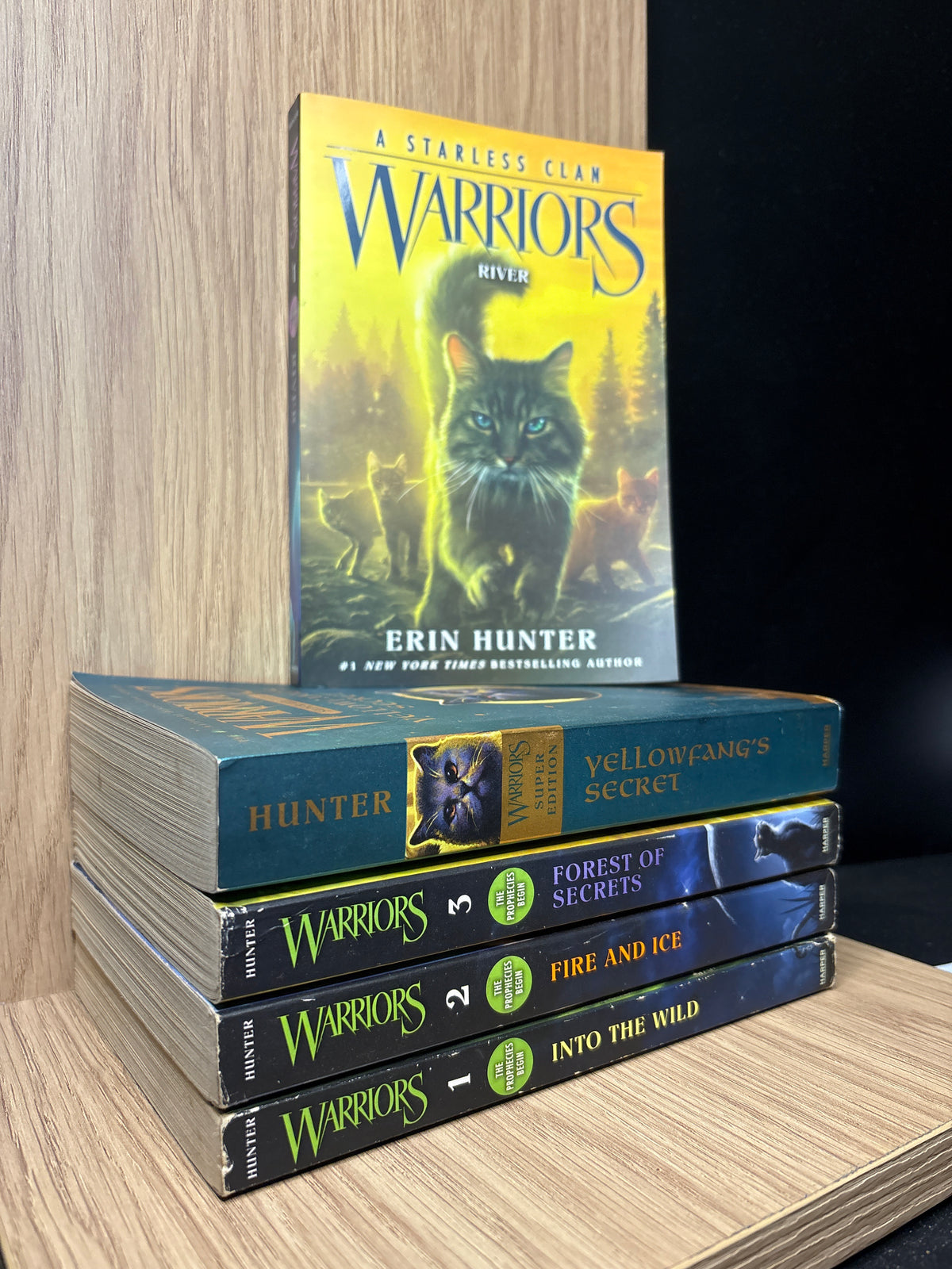 HUNTER, Erin 'Warriors' Series #1,2,3 + 2 Bonus 'Warriors' Titles Bundle of 5 (Min. good condition)
