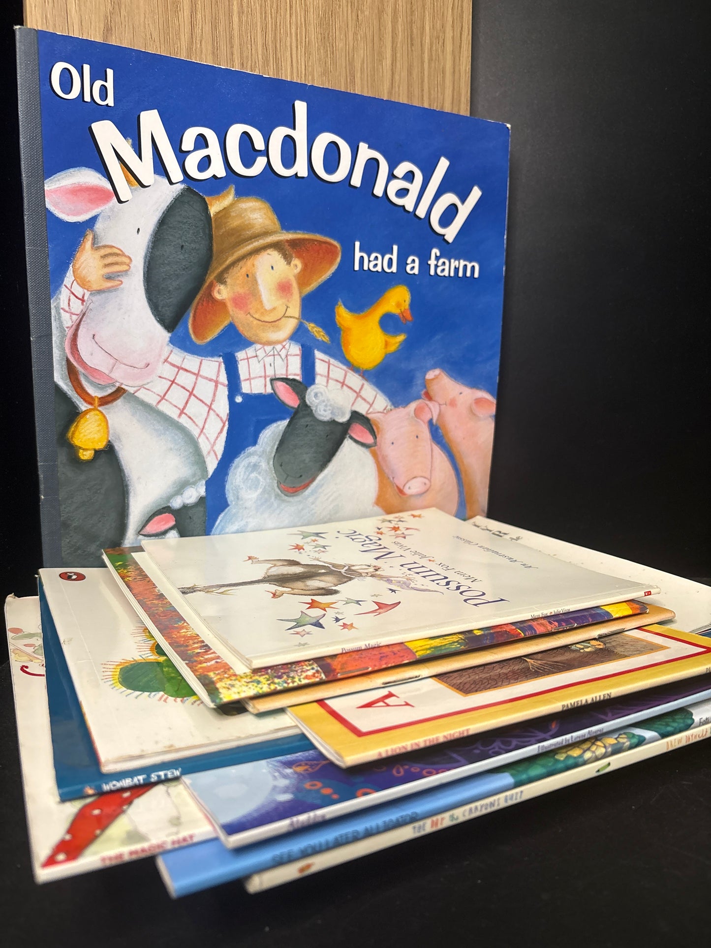 KIDS PICTURE BOOKS Assorted Titles Bundle of 11 (Min. fair books)