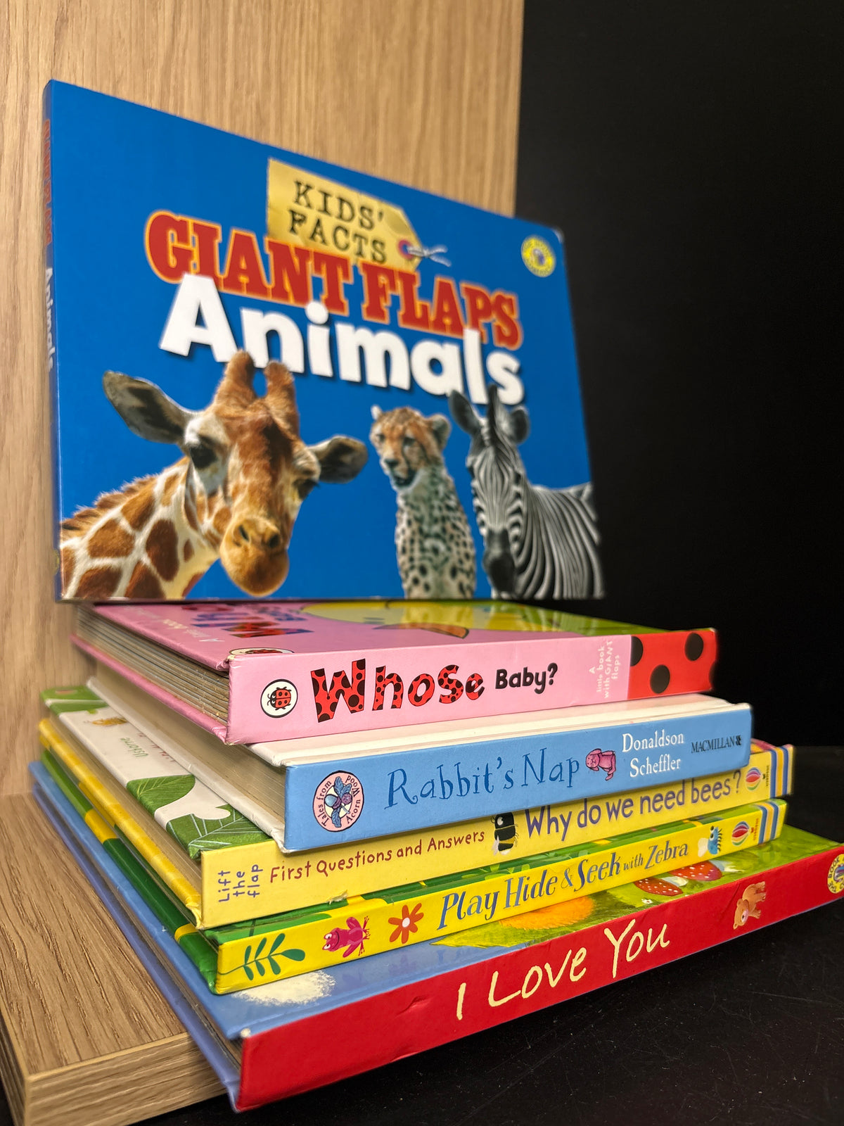 BOARD BOOKS 'Lift A Flap' Assorted Standalone Titles Bundle of 6 (Min. fair condition)