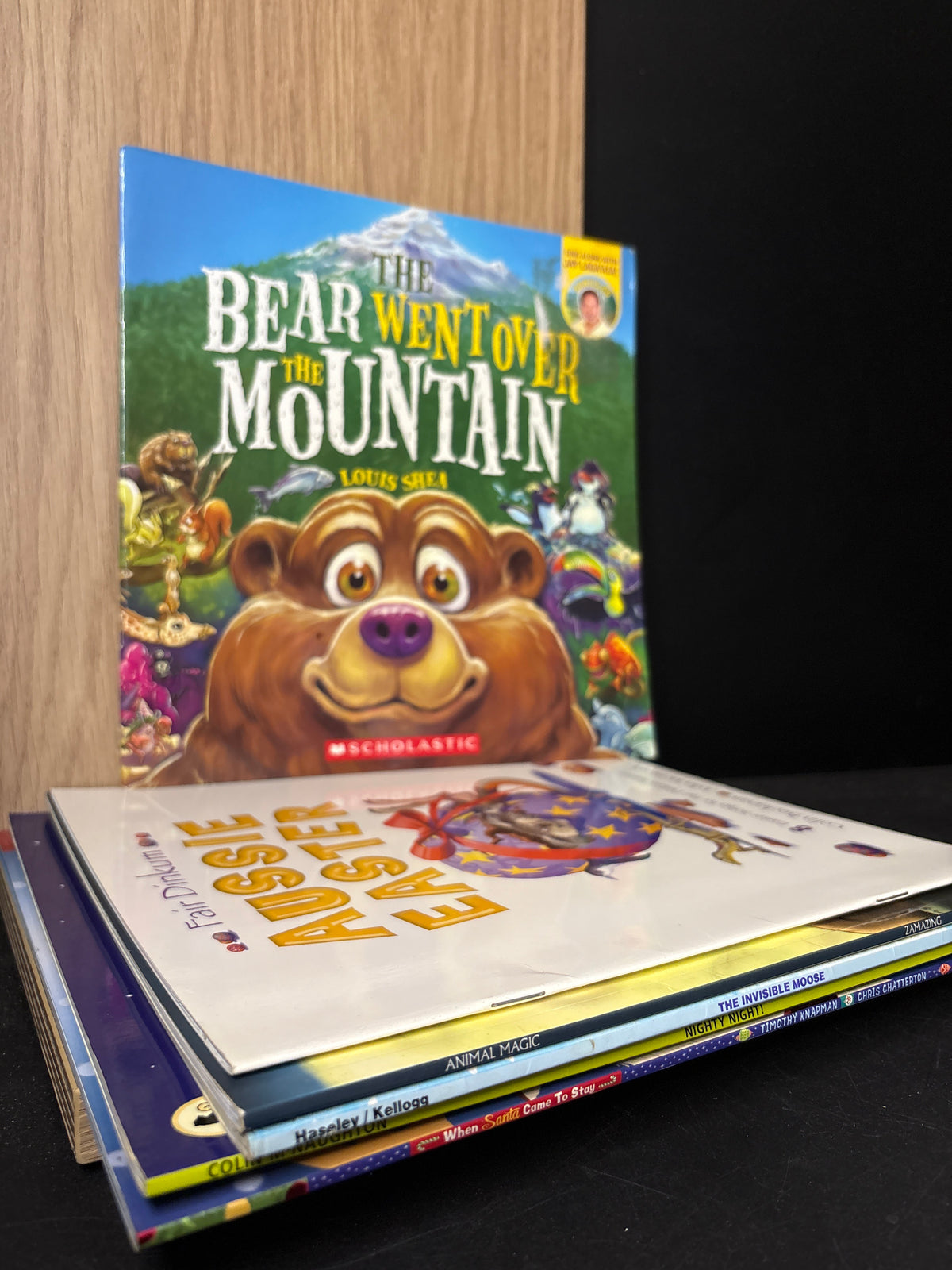 KIDS PICTURE BOOKS Assorted Standalone Titles Various Authors Bundle of 6 (Min. good condition)