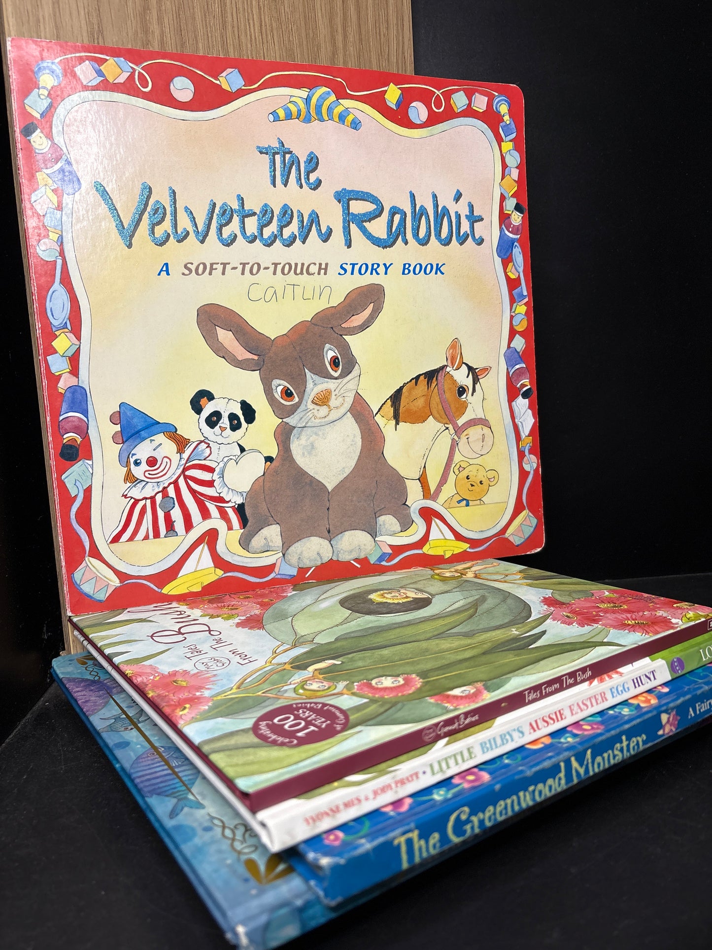 HARDCOVER PICTURE BOOKS Assorted Titles Bundle of 5 (min. Fair condition)