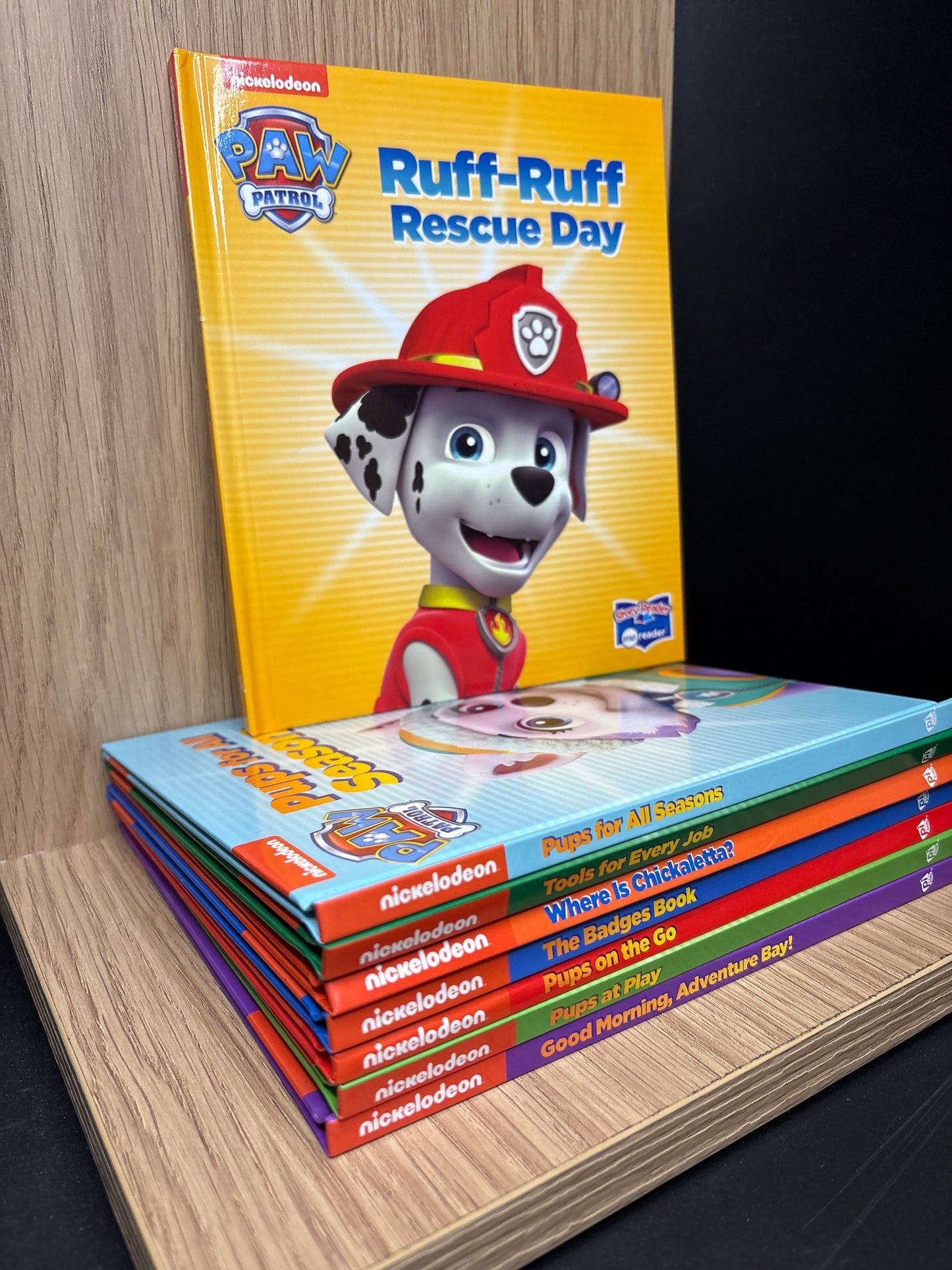PAW PATROL Story Reader Assorted Titles Bundle of 8 (Min. good condition)