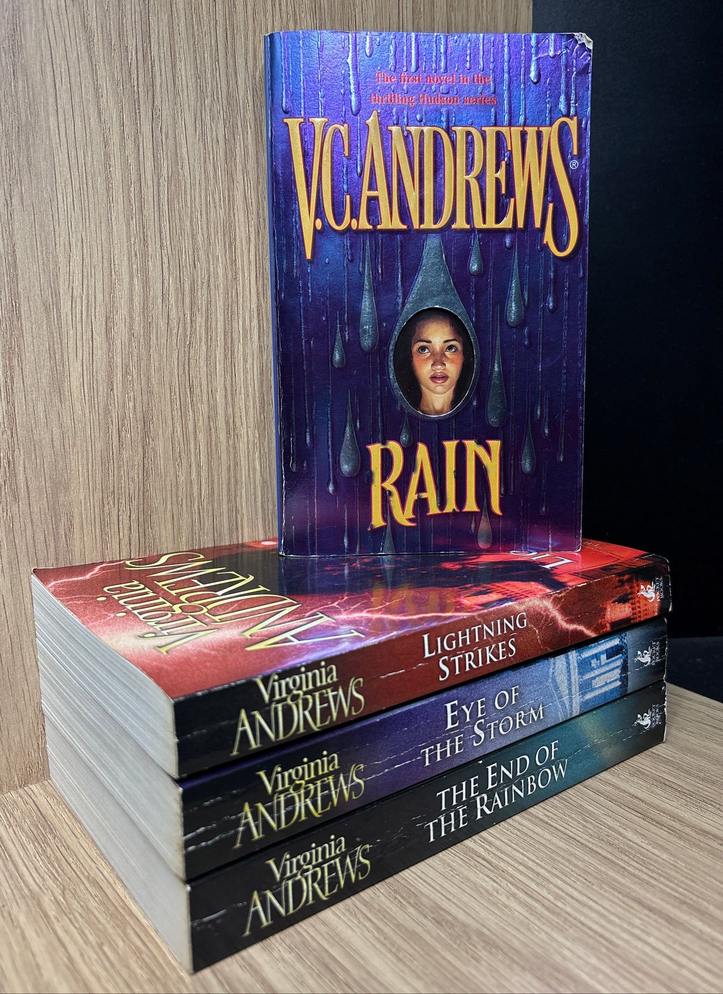 ANDREWS, Virginia 'Hudson' Series Books #1-4 Bundle of 4 (Min. fair condition)