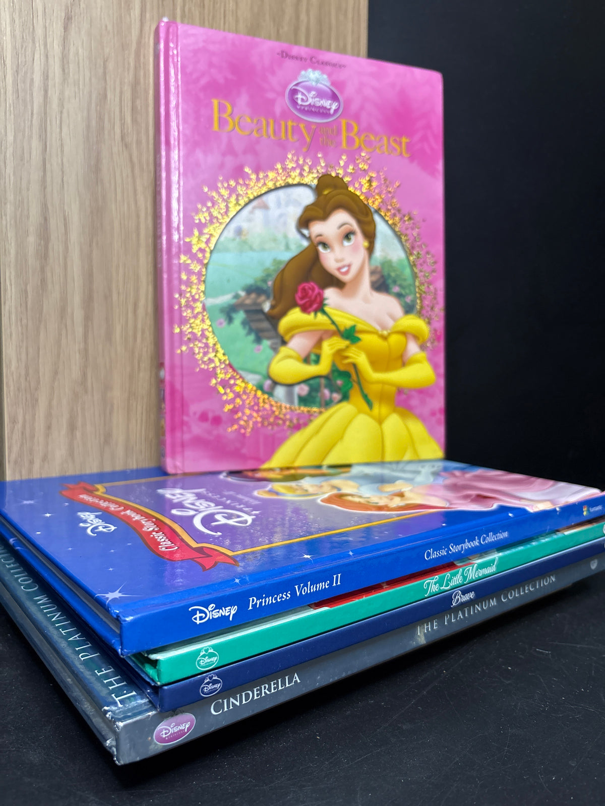 DISNEY PRINCESS Assorted Standalone Titles Bundle of 5 (Min. fair condition)