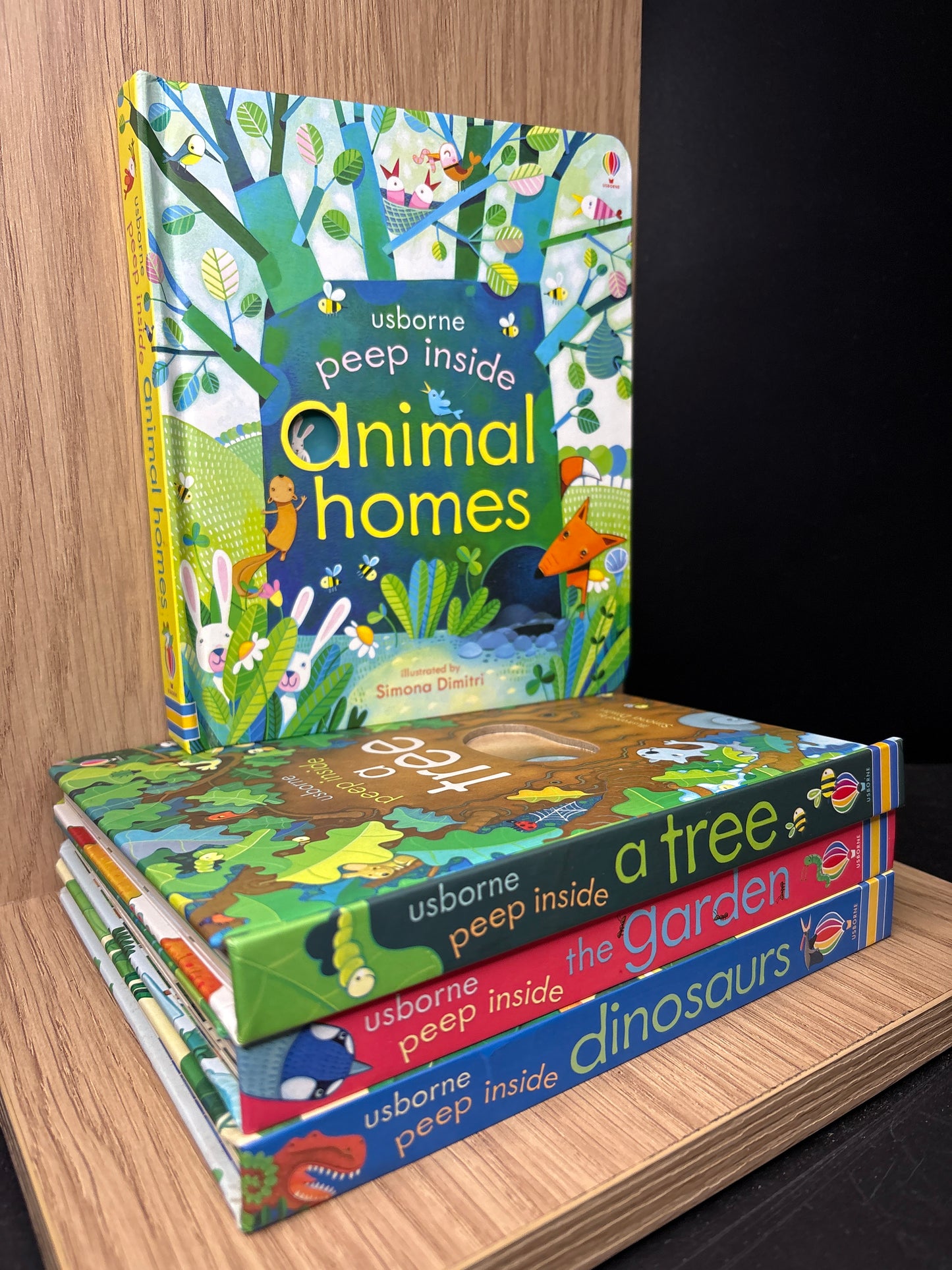 USBORNE 'Peep Inside' Assorted Titles Bundle of 4 (Min. fair condition)