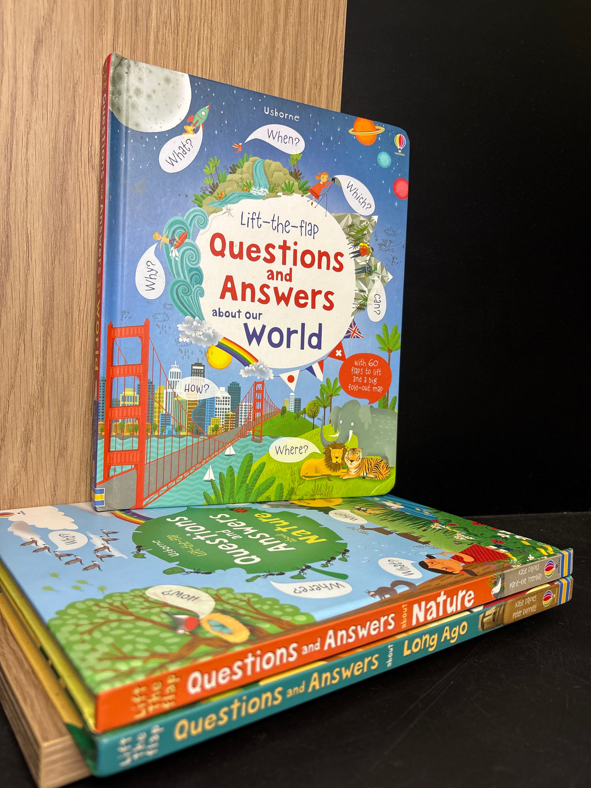USBORNE 'Questions and Answers' Lift The Flap Books Bundle of 3 (Min. good condition)