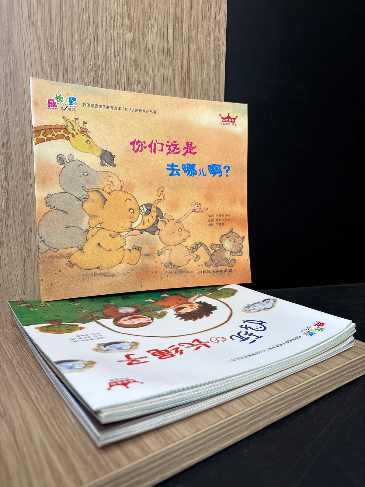 CHINESE TEXT: 'Children's growing Up' Series Assorted Titles Bundle of 11 (Min. very good condition)