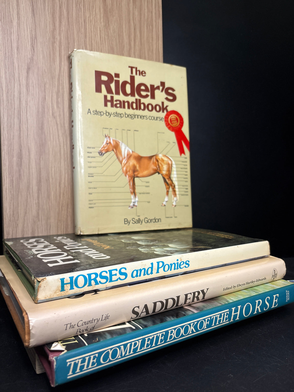 HORSES Assorted Standalone Titles Various Authors Bundle of 4 (Min. fair condition)