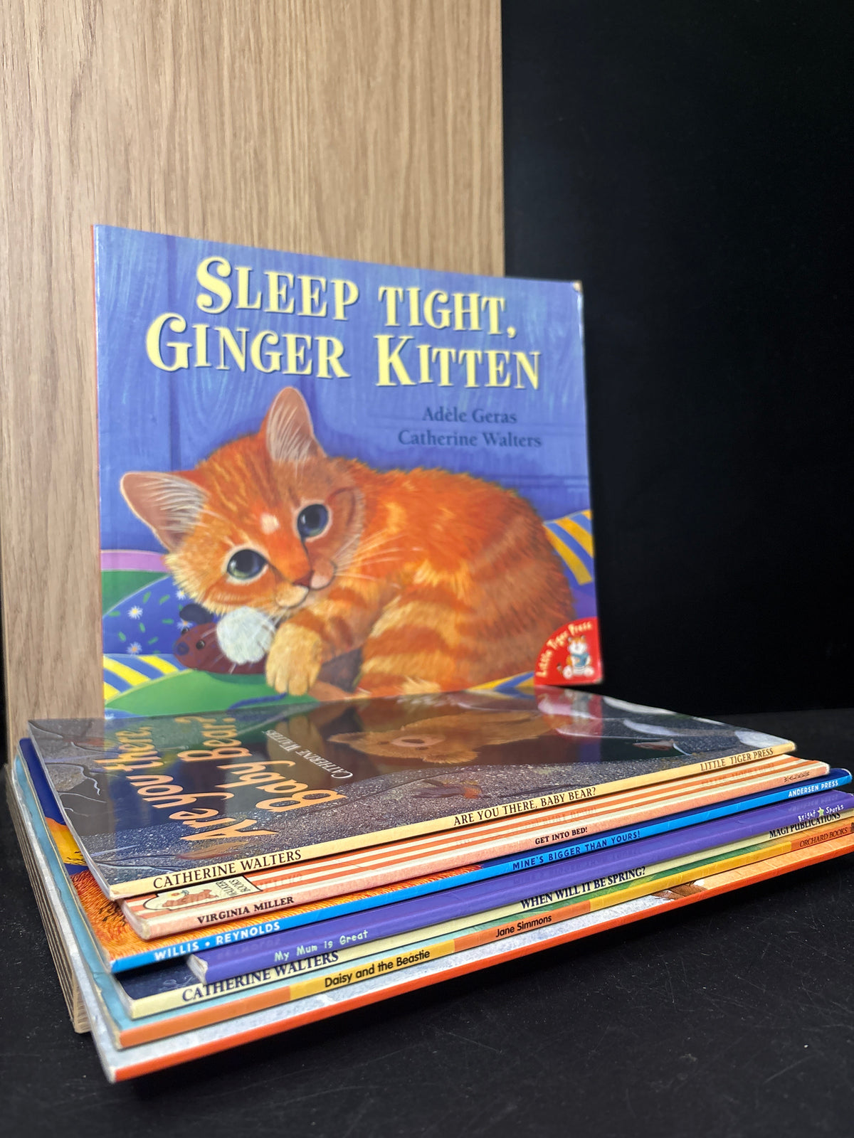 KIDS PICTURE BOOKS Assorted Standalone Titles Various Authors Bundle of 8 (Min. fair condition)