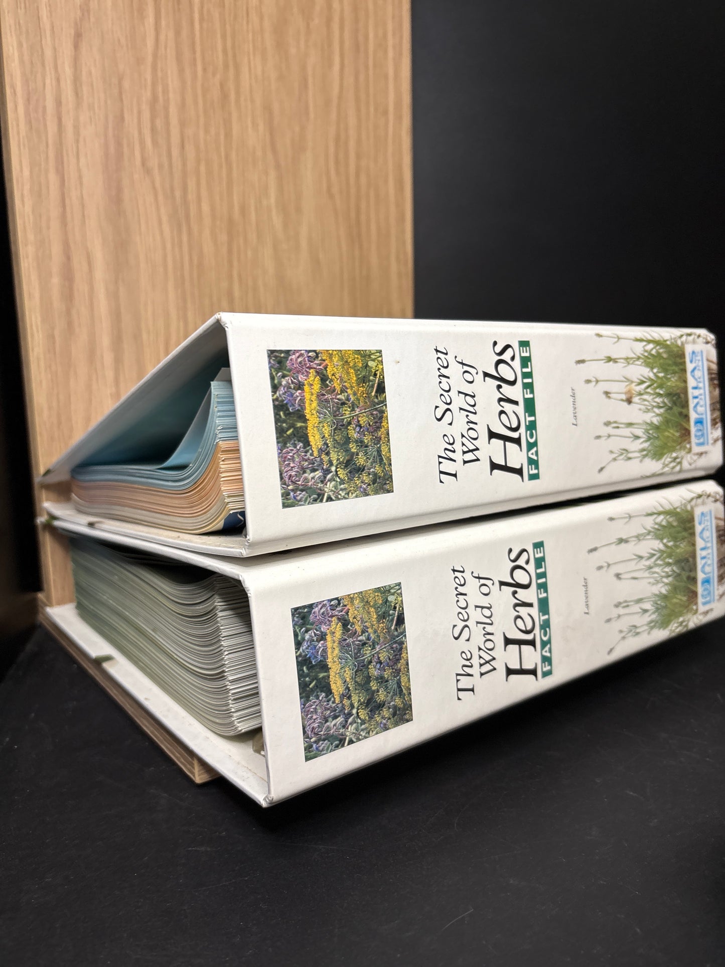 HERBS FACT FILE The Secret World of Herbs Bundle of 2 (Min. good condition)
