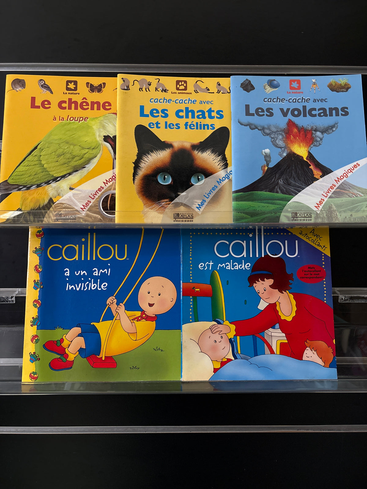 FRENCH TEXT: Children's Reading Bundle Assorted Titles by Various Authors Bundle of 5 (Min. fair condition)