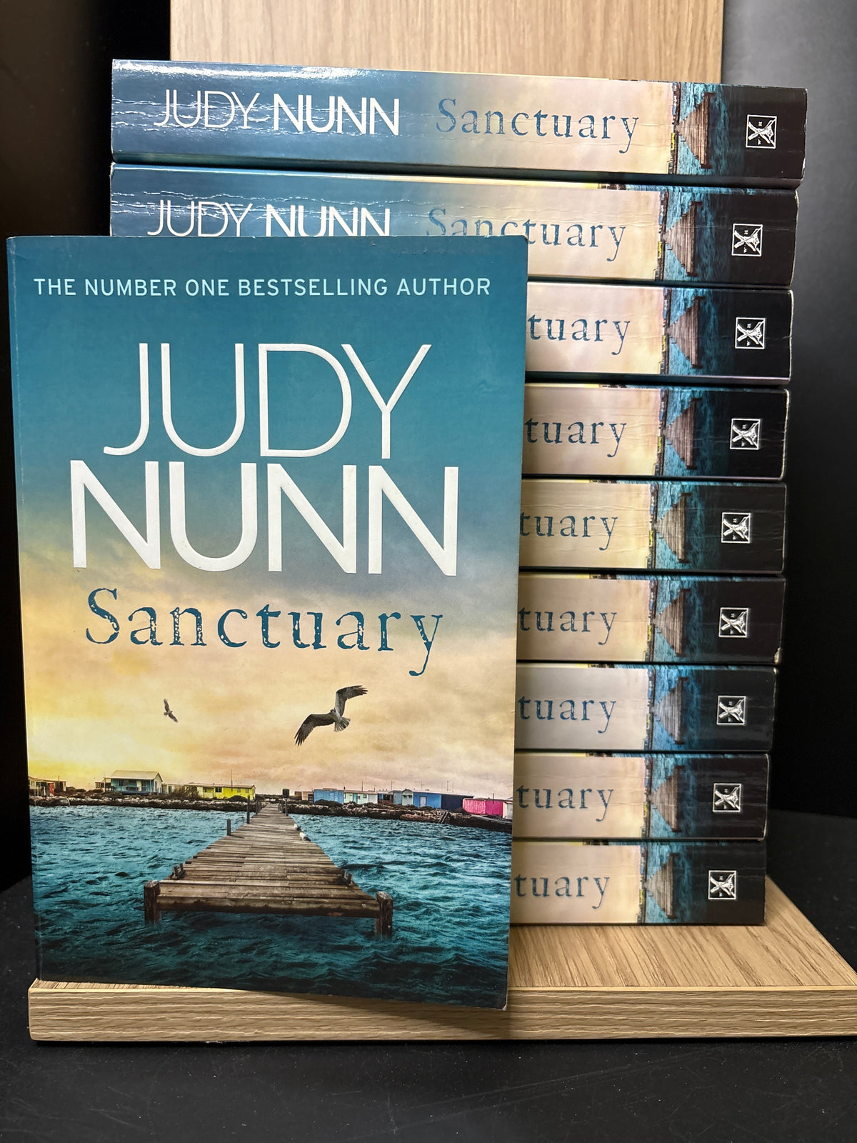 Book Club 10 Pack: NUNN, Judy 'Sanctuary' Paperback Large Copies (Min. fair condition)