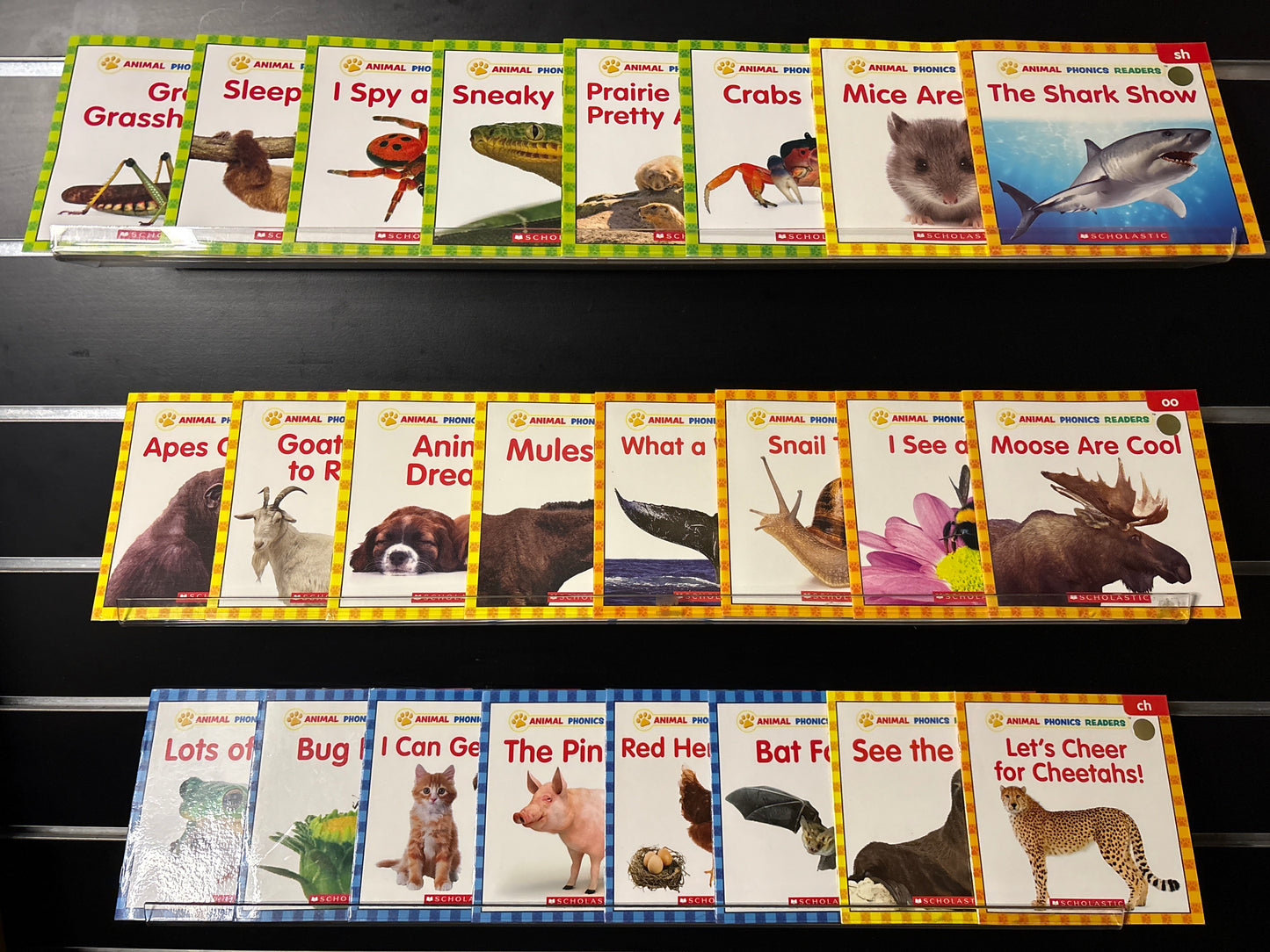 ANIMAL PHONICS READERS Assorted Titles Bundle of 24 (Min. Very good condition)