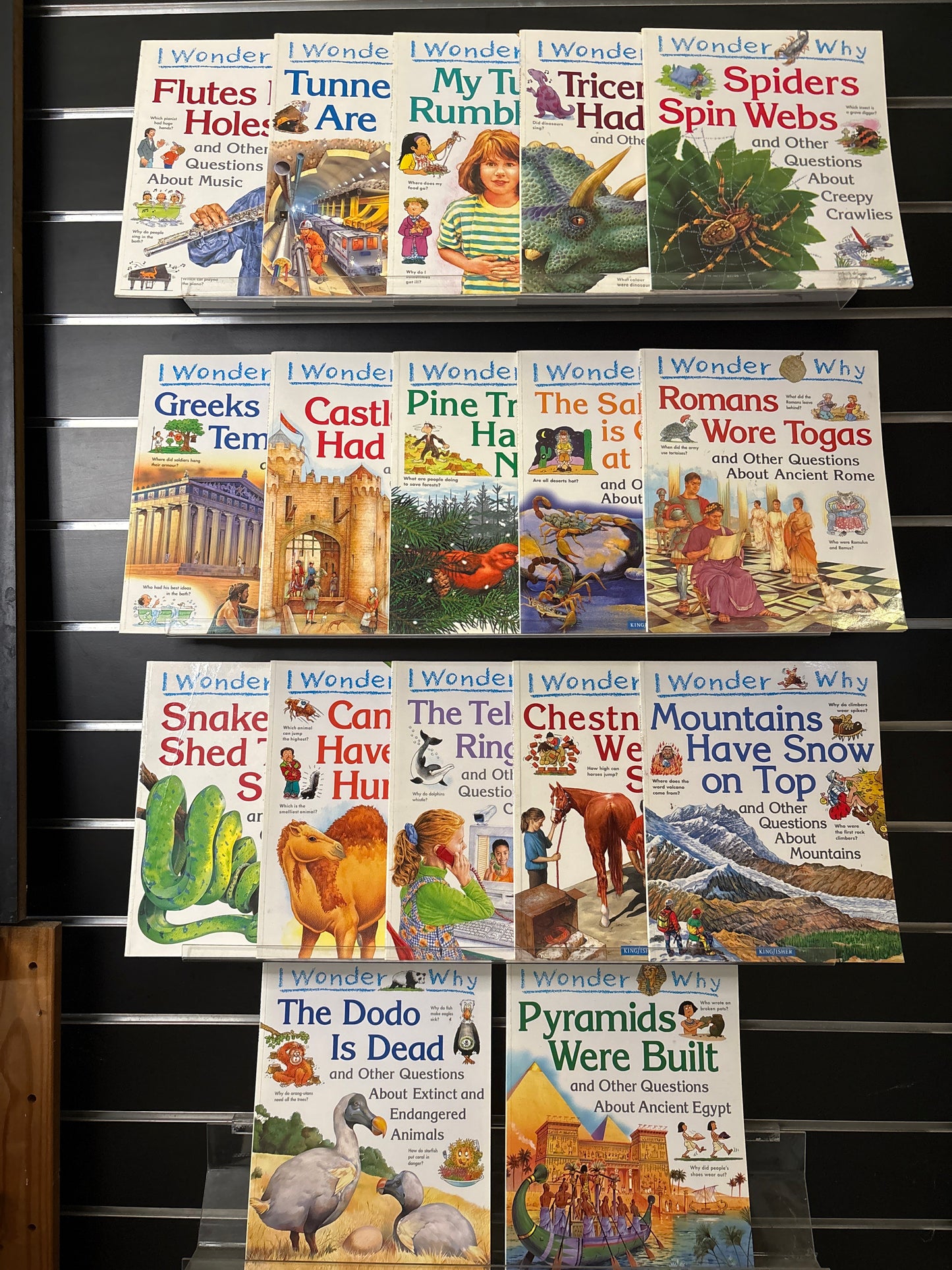 I WONDER WHY Series Assorted Standalone Titles Bundle of 17 (Min. good condition)