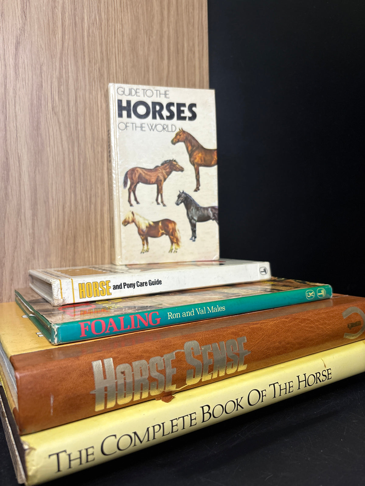 HORSES Assorted Standalone Titles Various Authors Bundle of 5 (Min. fair condition)
