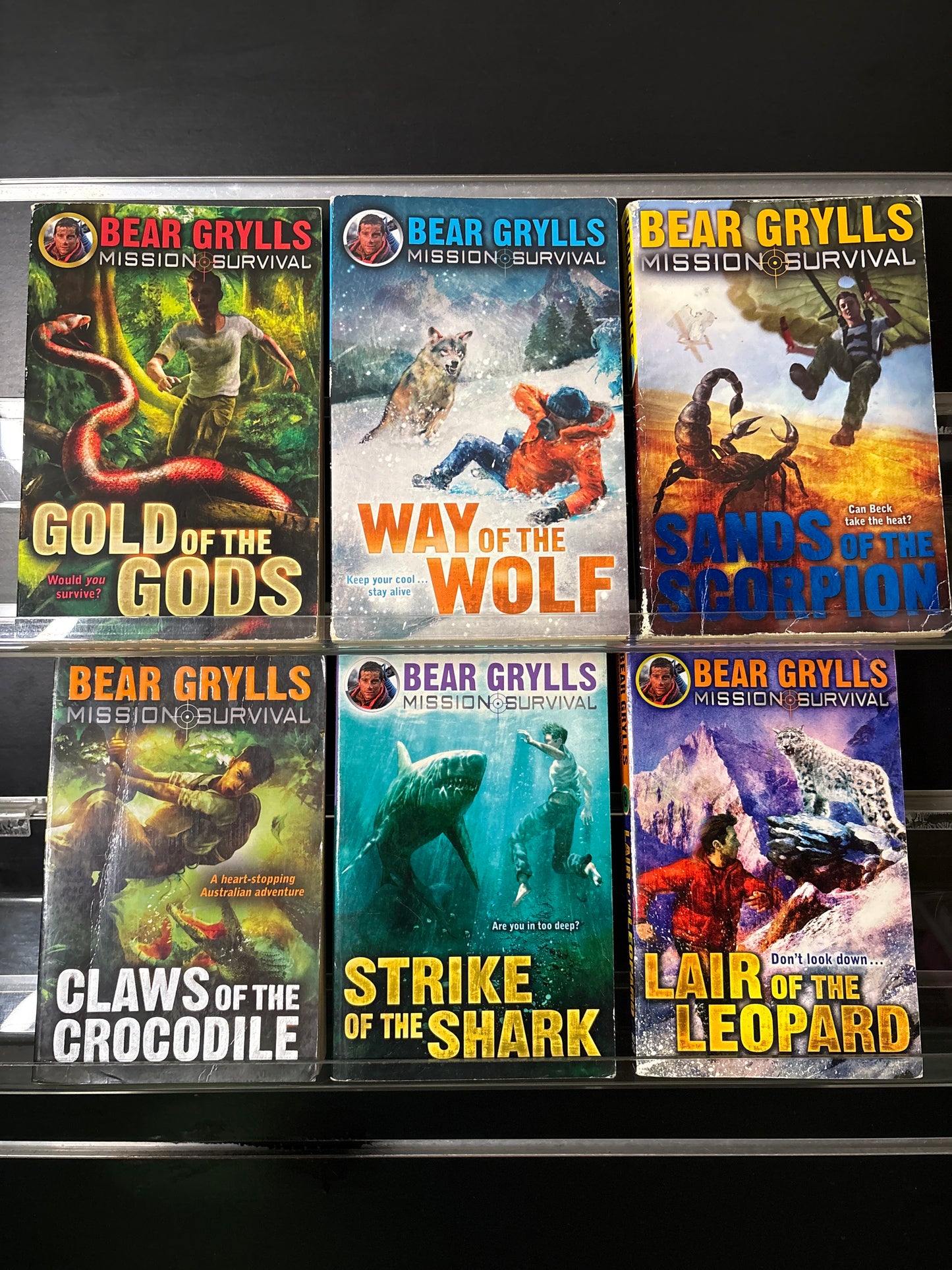 GRYLLS, Bear 'Mission Survival' Assorted Standalone Titles Bundle of 6 (Min. fair condition)