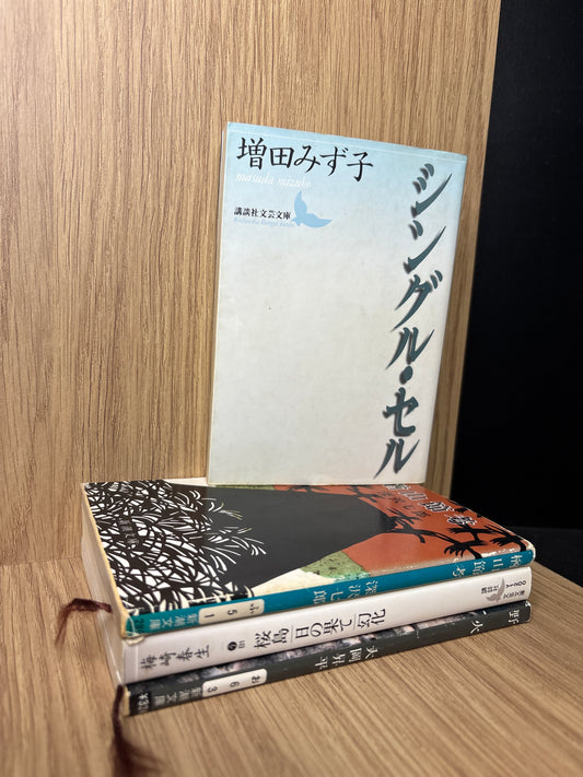 JAPANESE: Mystery and Suspense Fiction Assorted Titles in Japanese Bundle of 4 (Min. good condition)