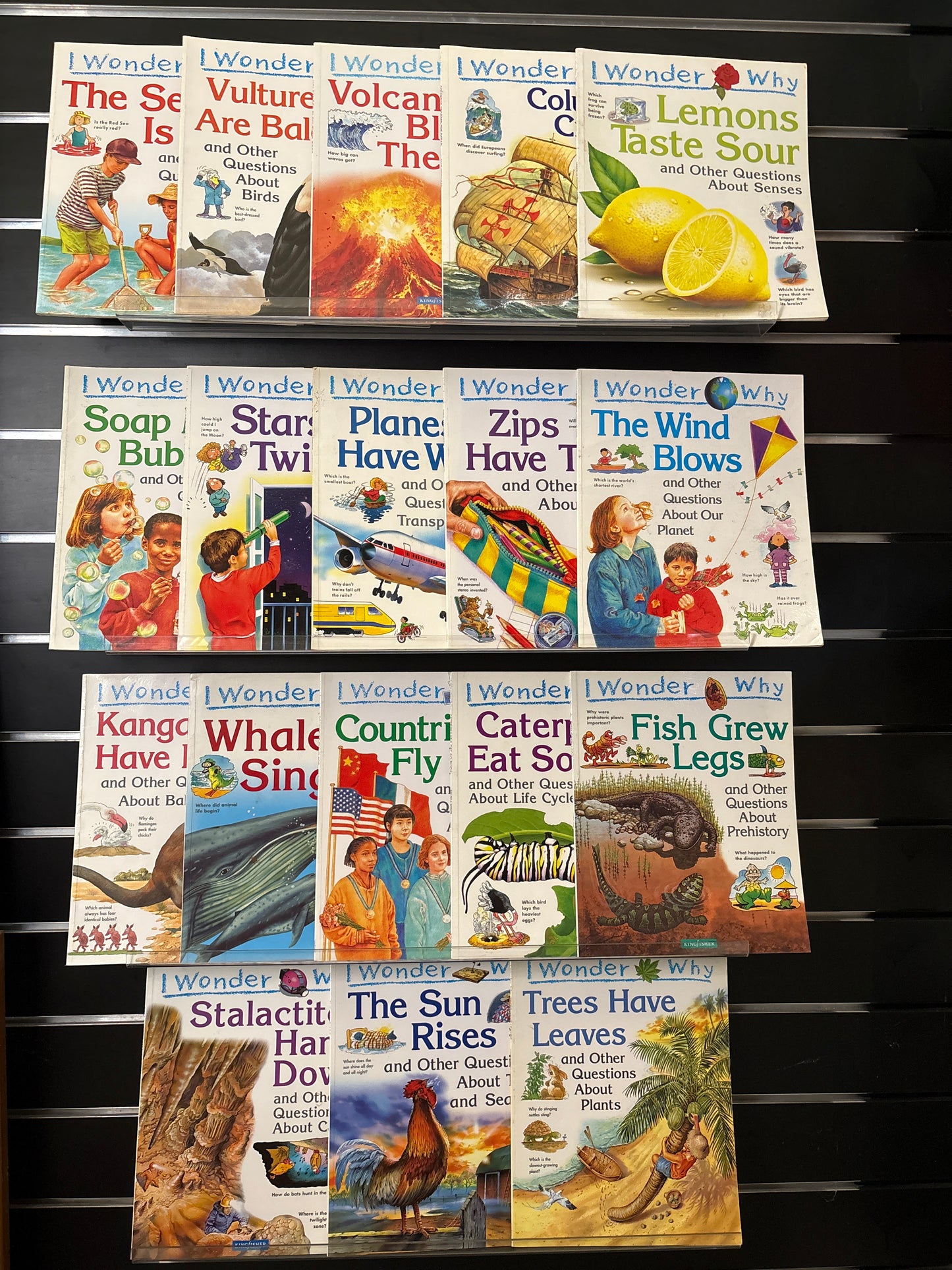 I WONDER WHY Series Assorted Standalone Titles Bundle of 18 (Min. good condition)