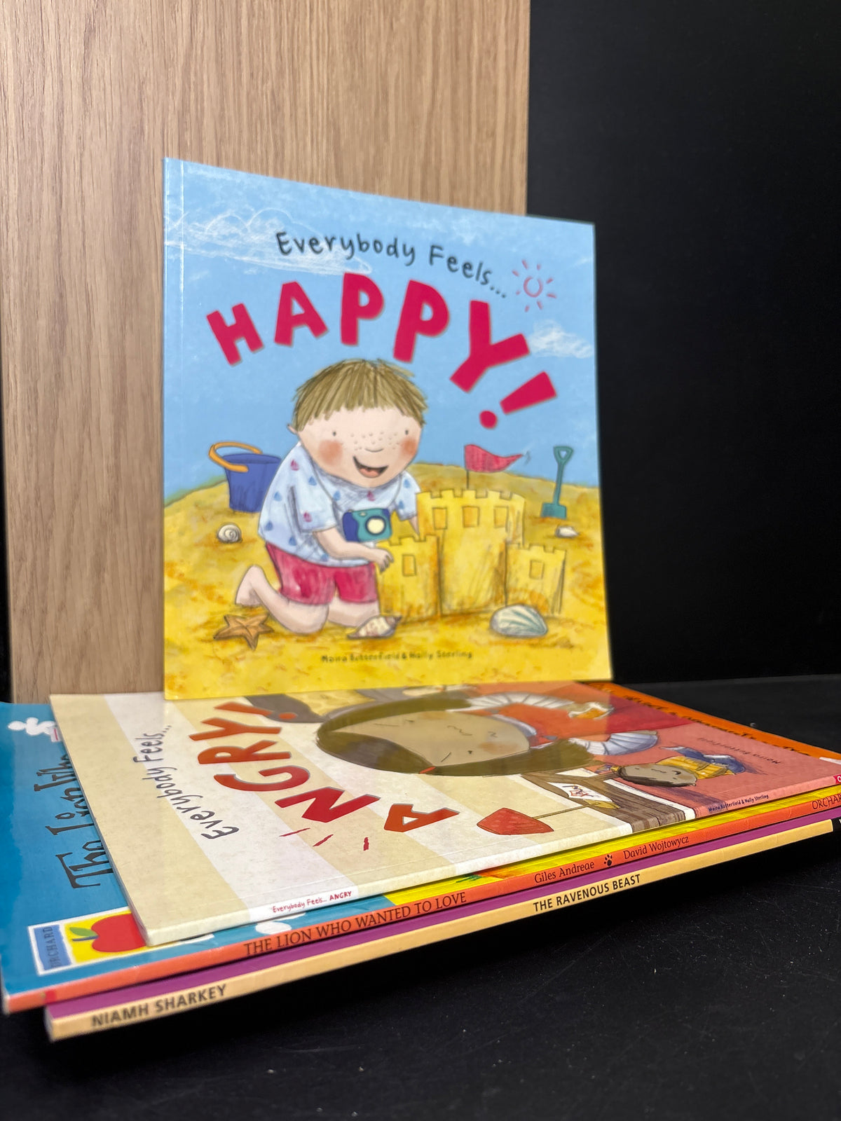 PICTURE BOOKS Assorted Standalone Titles Bundle of 4 (Min. good condition)