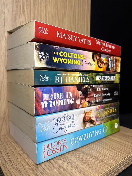 COWBOY ROMANCE Assorted Standalone Titles, Various Authors Bundle of 6 (Min. fair condition)