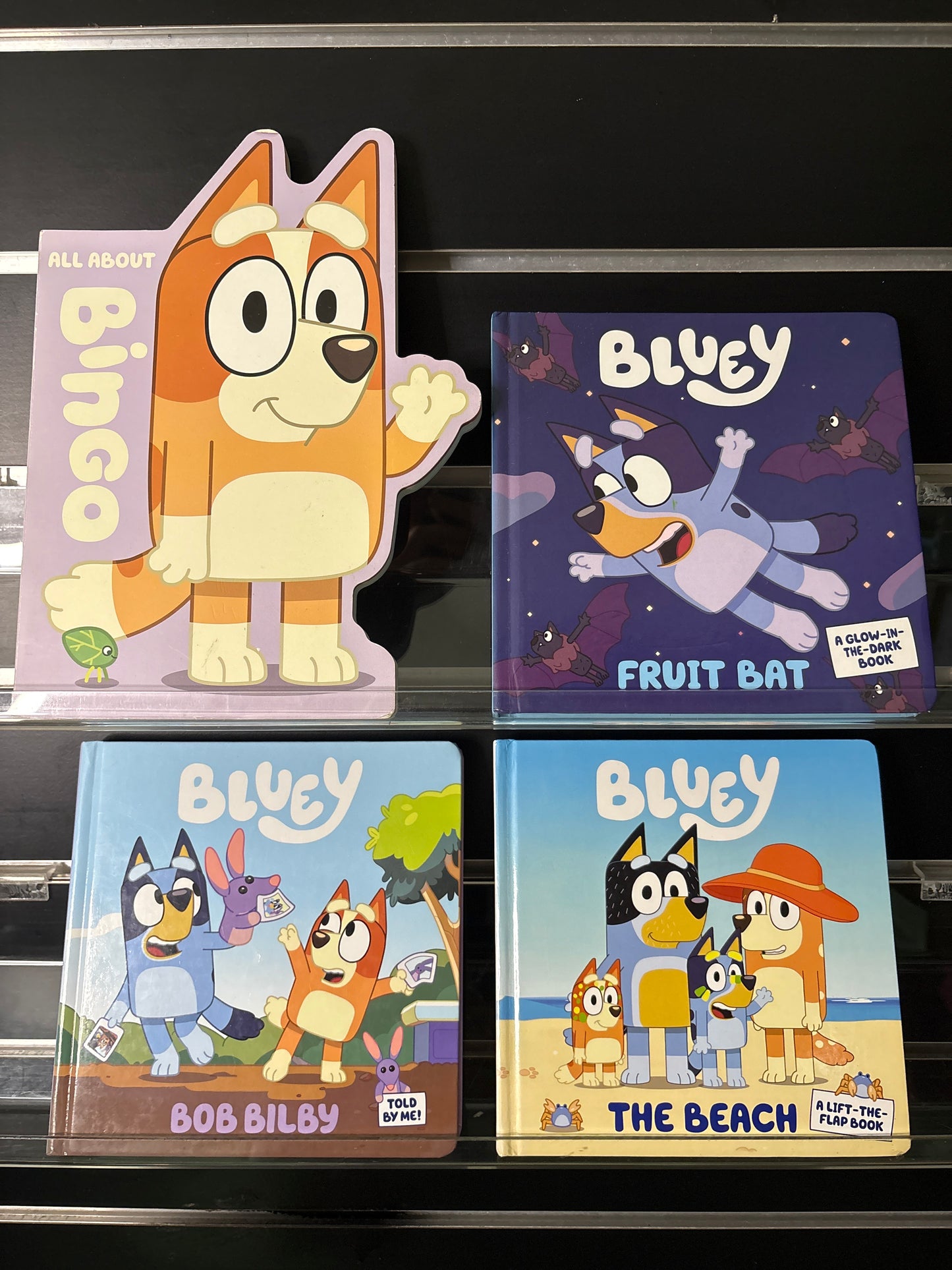 BLUEY BOARD BOOKS Assorted Standalone Titles Bundle of 4 (Min. good condition)