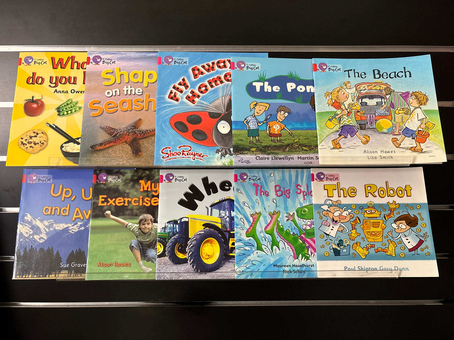 COLLINS BIG CAT Assorted Standalone Titles Various Authors Bundle of 10 (Min. good condition)