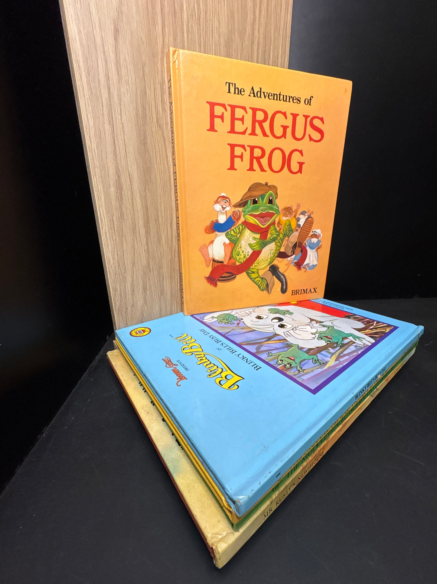 CHILDREN'S ADVENTURE BOOKS - Bundle of 5 Standalone Titles (Min. fair condition)