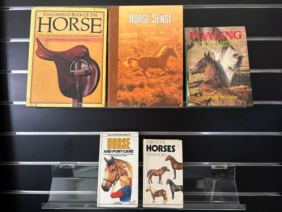 HORSES Assorted Standalone Titles Various Authors Bundle of 5 (Min. fair condition)