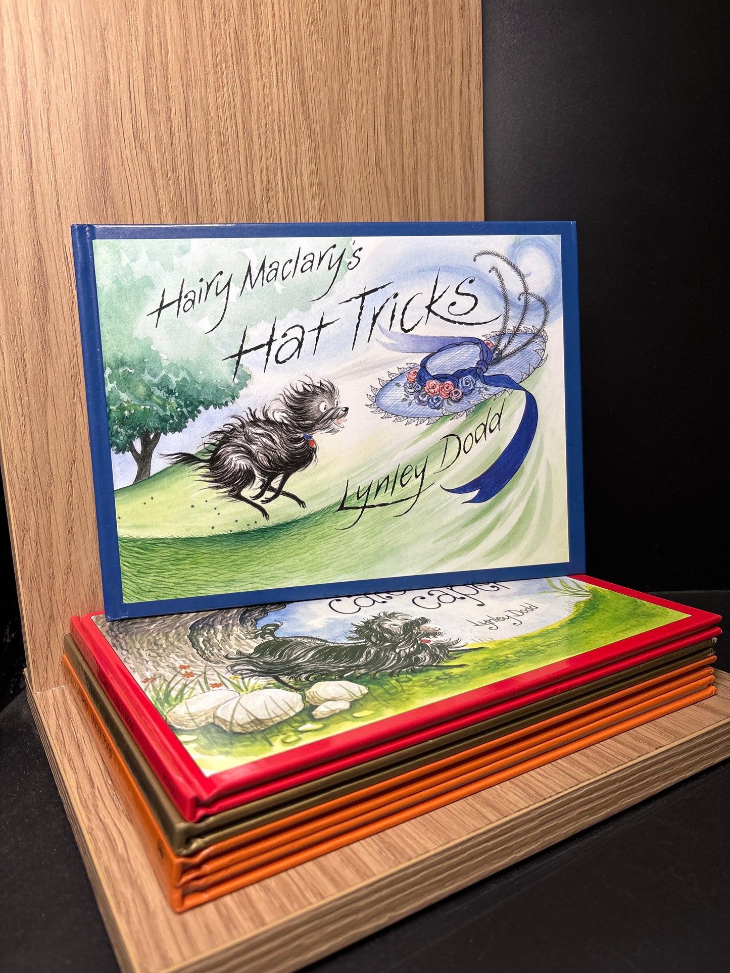 DODD, Lynley 'Hairy Maclary and Friends' Series Assorted Titles Bundle of 5 (Min. very good condition)