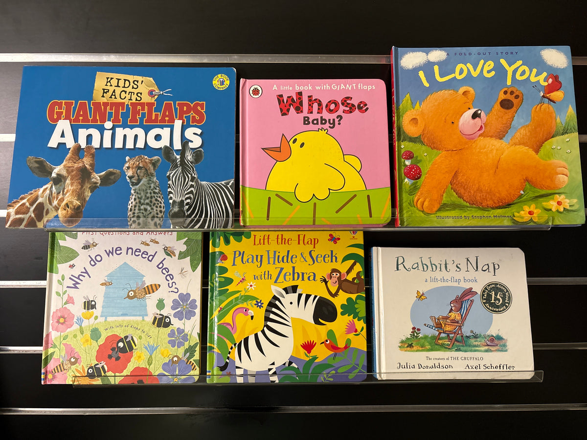 BOARD BOOKS 'Lift A Flap' Assorted Standalone Titles Bundle of 6 (Min. fair condition)
