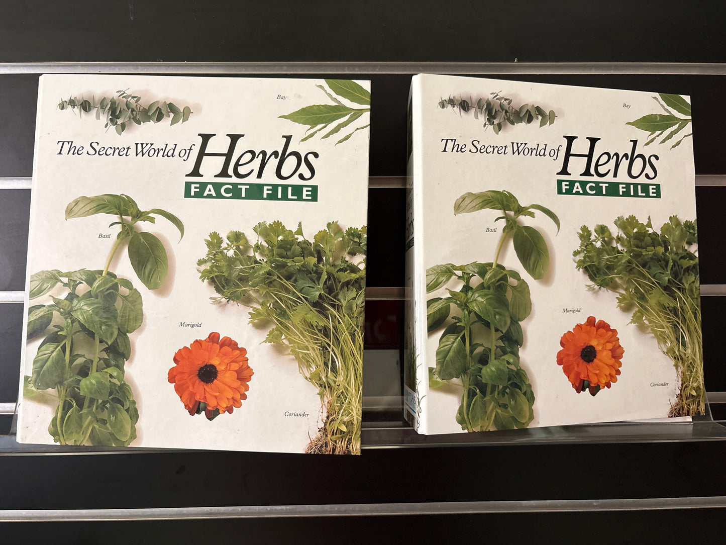 HERBS FACT FILE The Secret World of Herbs Bundle of 2 (Min. good condition)