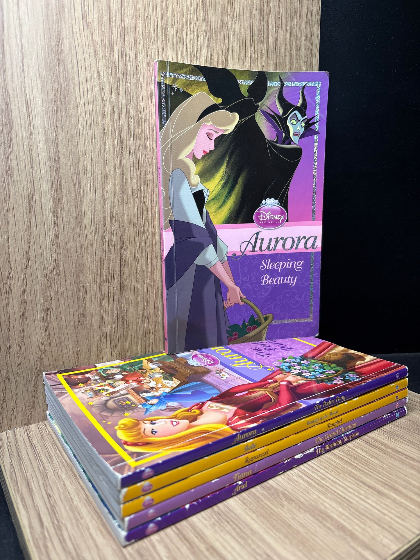 DISNEY PRINCESS Assorted Titles Bundle of 6 (Min. fair condition)