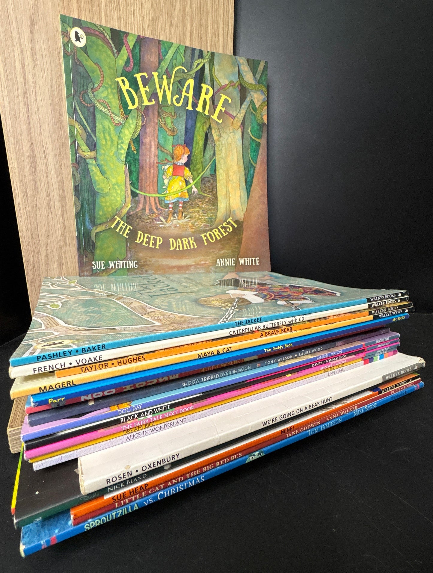 CHILDREN'S STORYBOOKS Assorted Titles Bundle of 20 (Min. good condition)