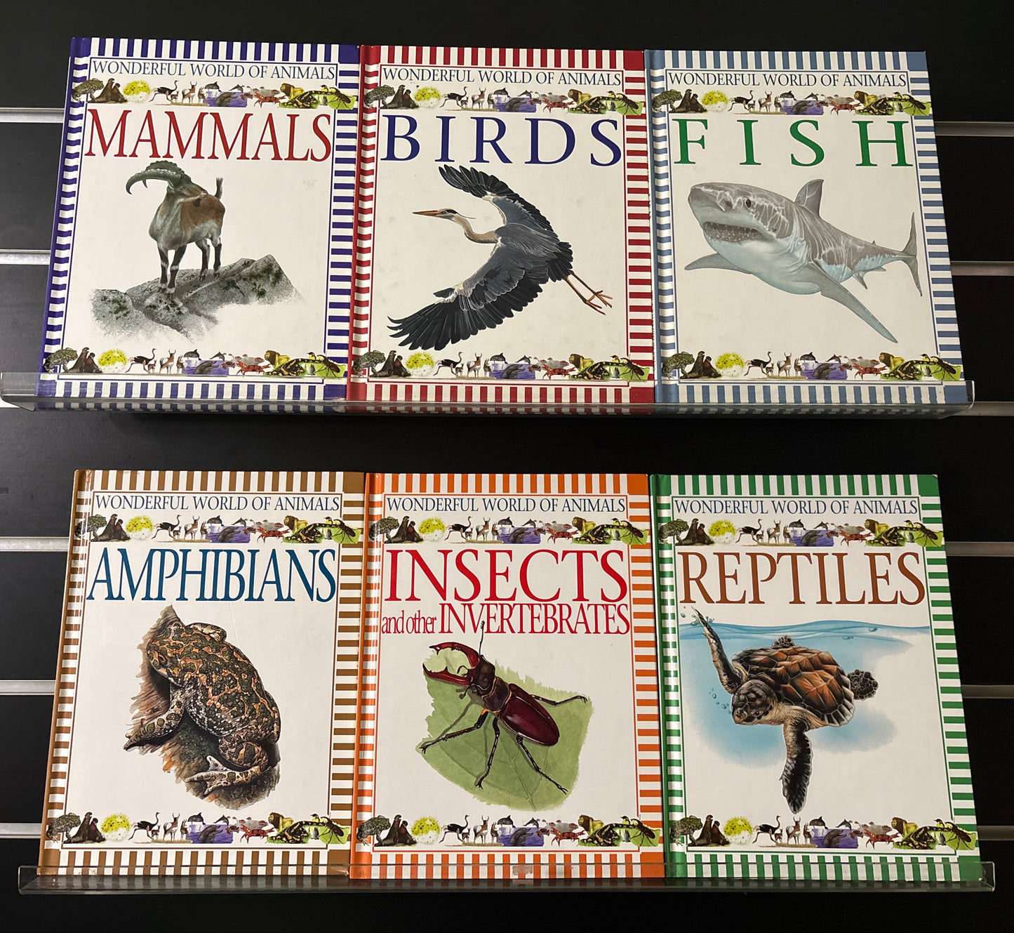 WONDERFUL WORLD OF ANIMALS Assorted Titles Bundle of 6 (Min. good condition)