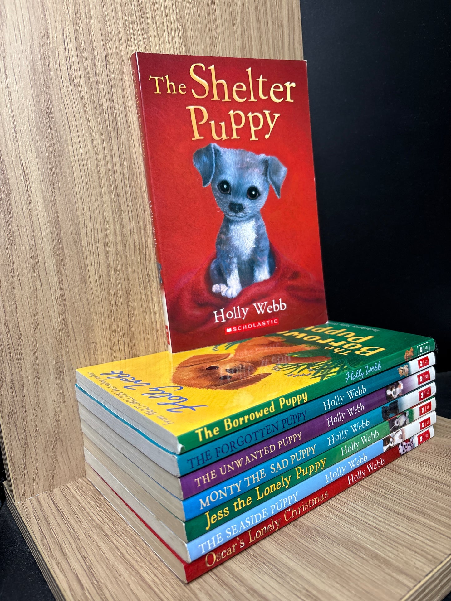 WEBB, Holly 'Puppy' Series Assorted Titles Bundle of 10 (Min. fair condition)
