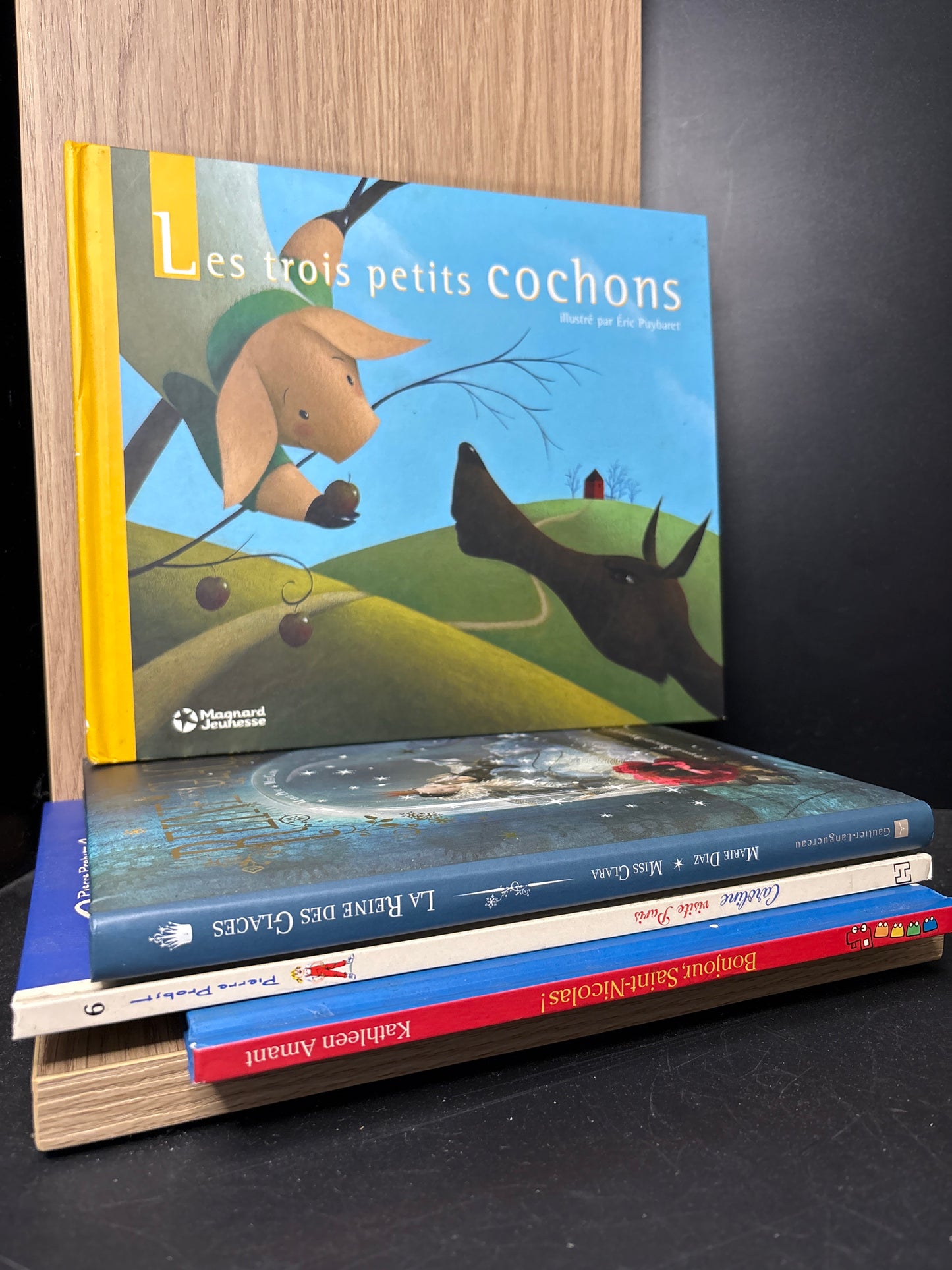 FOREIGN KIDS LITERATURE Assorted French Titles Bundle of 4 (Min. Fair condition)
