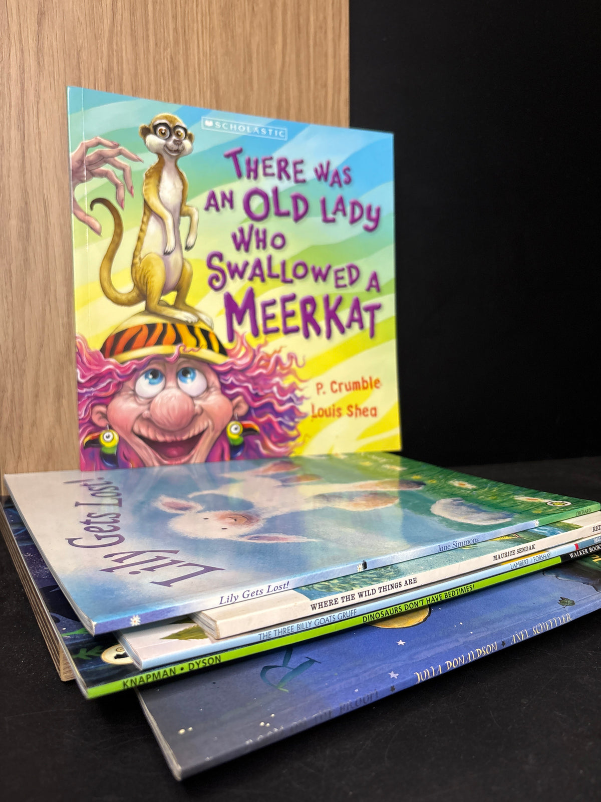 KIDS PICTURE BOOKS Assorted Standalone Titles Various Authors Bundle of 6 (Min. good condition)
